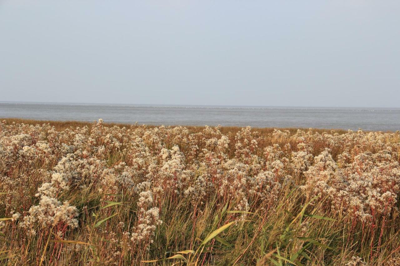 Annemaries Nordseehaus Butjadingen Exterior foto